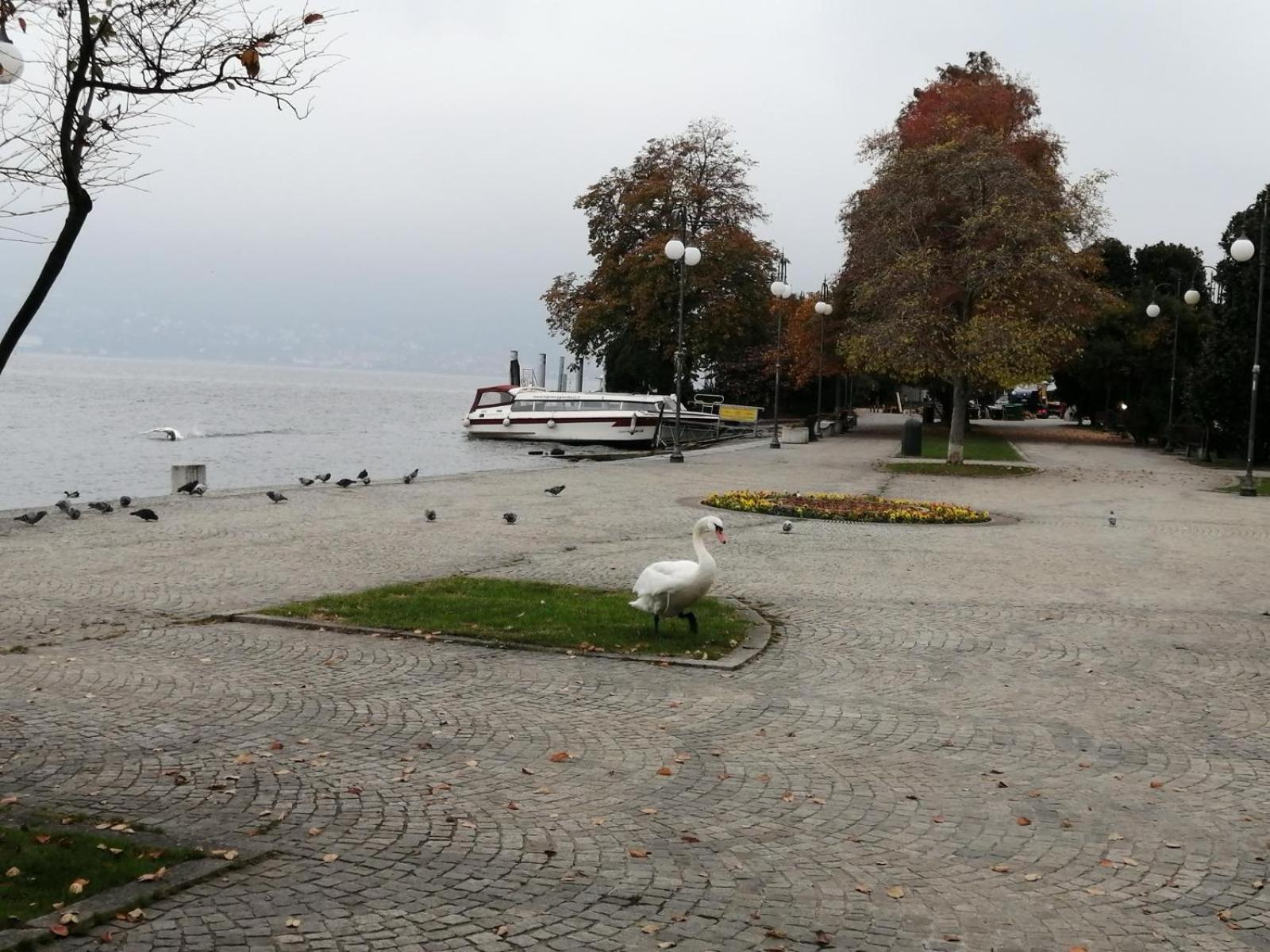 Casa Vacanze La Formica Verbania Exteriér fotografie